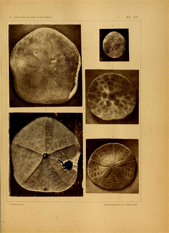 n190_w1150