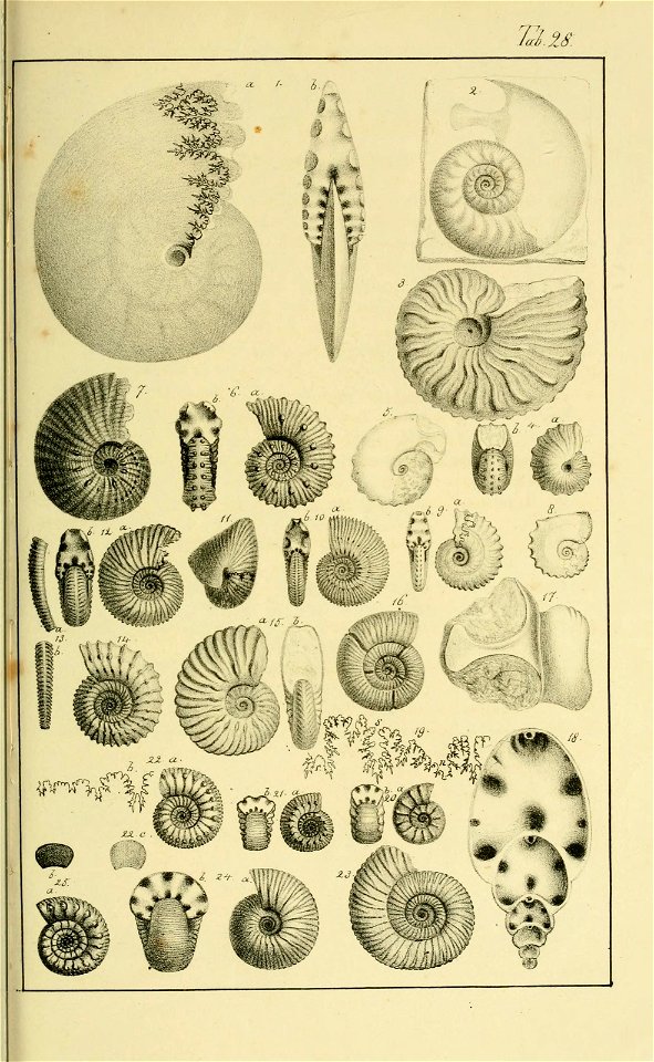 n120_w1150