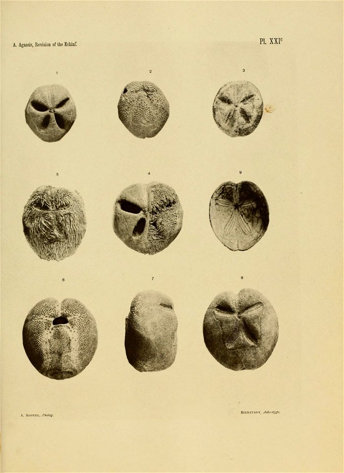 n306_w1150