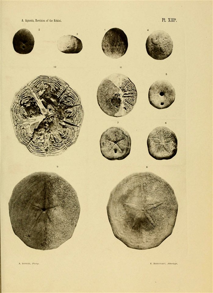 n238_w1150