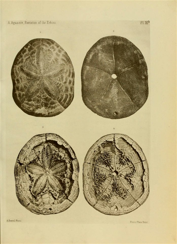 n178_w1150
