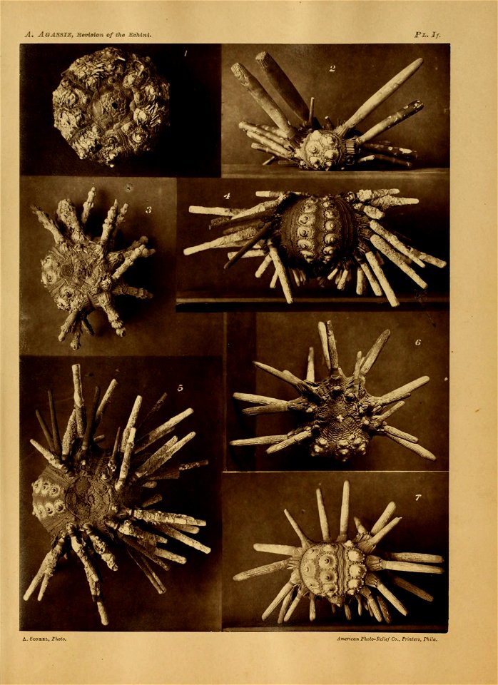 n58_w1150