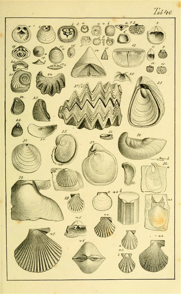 n168_w1150