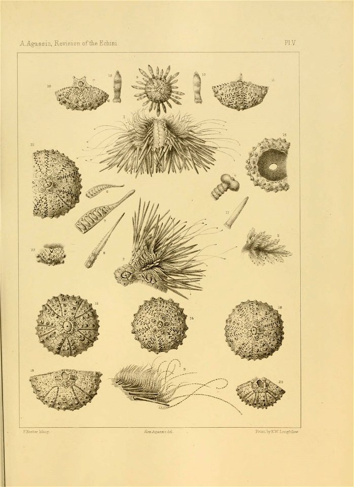 n114_w1150
