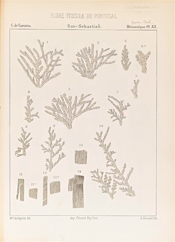 n378_w1150