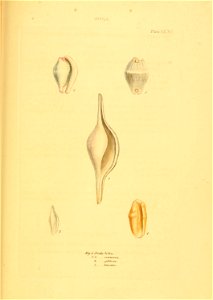 n596_w1150