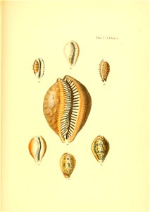 n592_w1150