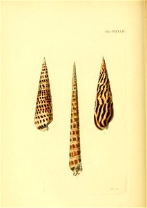 n543_w1150