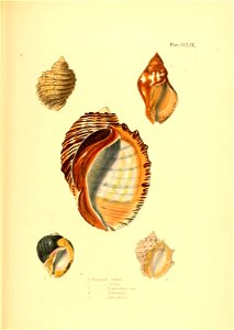 n488_w1150