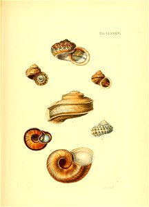 n216_w1150