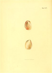 n109_w1150