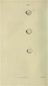 n185_w1150