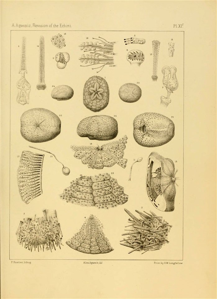 n194_w1150