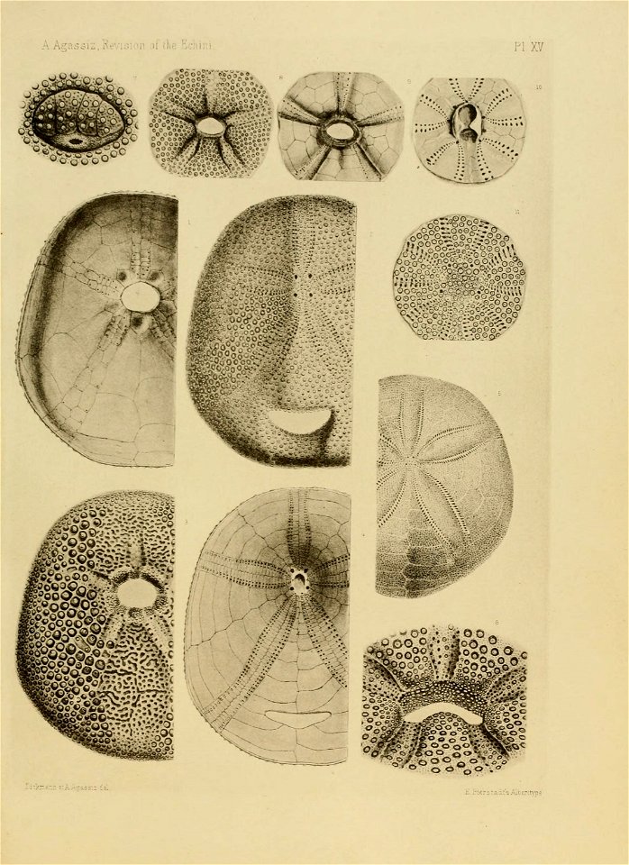 n254_w1150