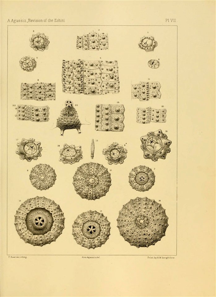 n134_w1150