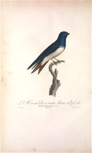 n145_w1150
