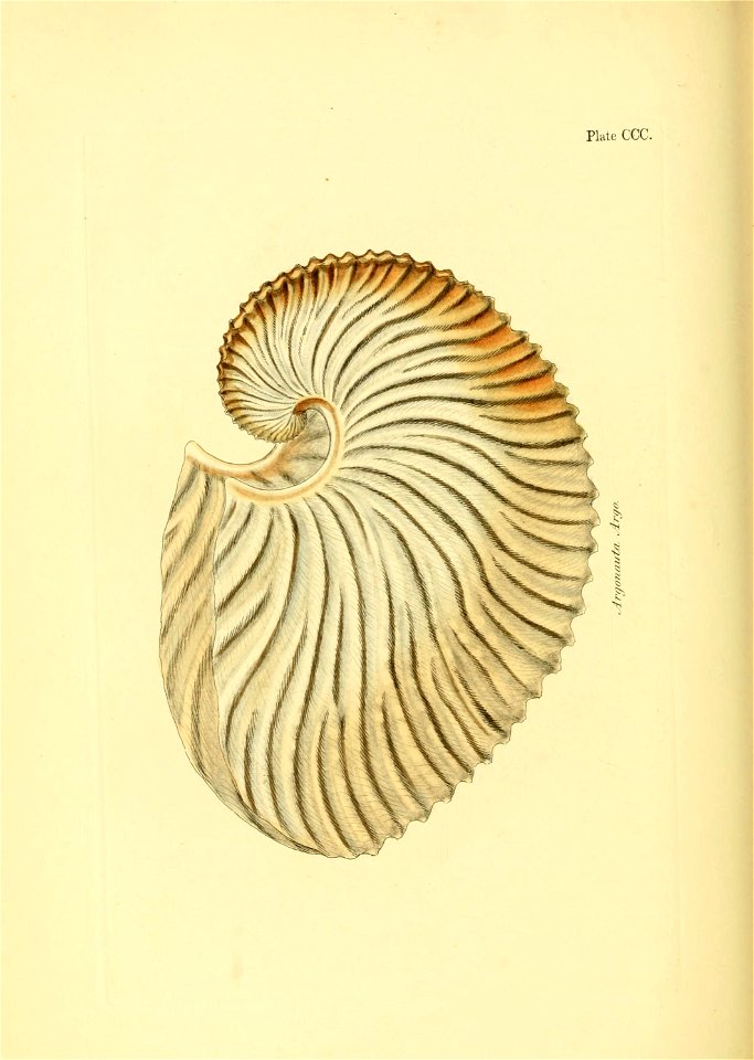 n659_w1150