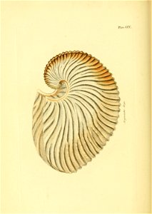 n659_w1150