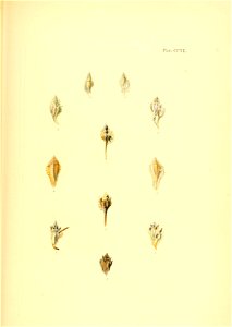 n424_w1150