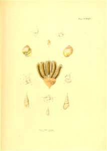 n374_w1150