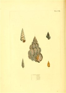 n325_w1150