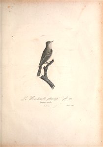 n168_w1150