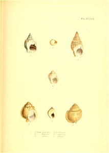 n524_w1150
