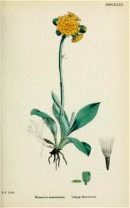 n542_w1150