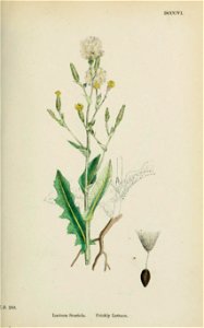 n508_w1150