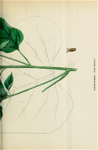 n298_w1150