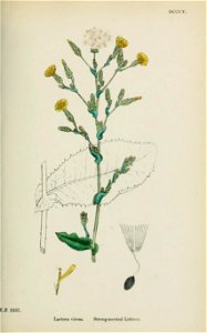n506_w1150