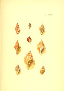 n392_w1150