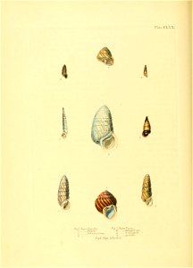 n165_w1150