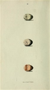 n119_w1150