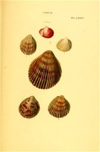 n258_w1150