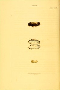 n117_w1150