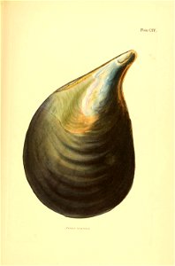 n362_w1150