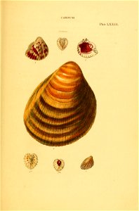 n256_w1150