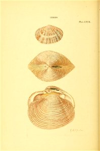 n209_w1150
