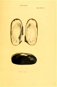 n114_w1150
