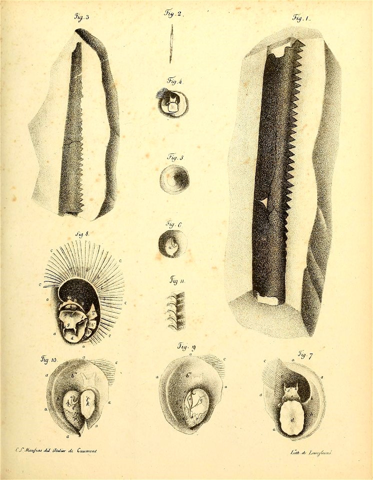 n56_w1150