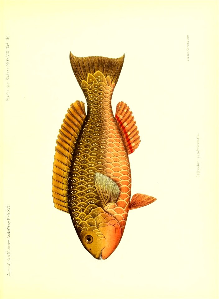 n168_w1150
