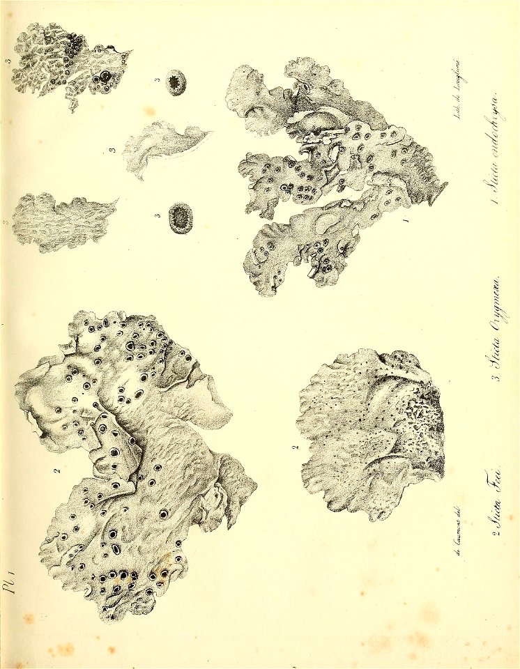 n16_w1150
