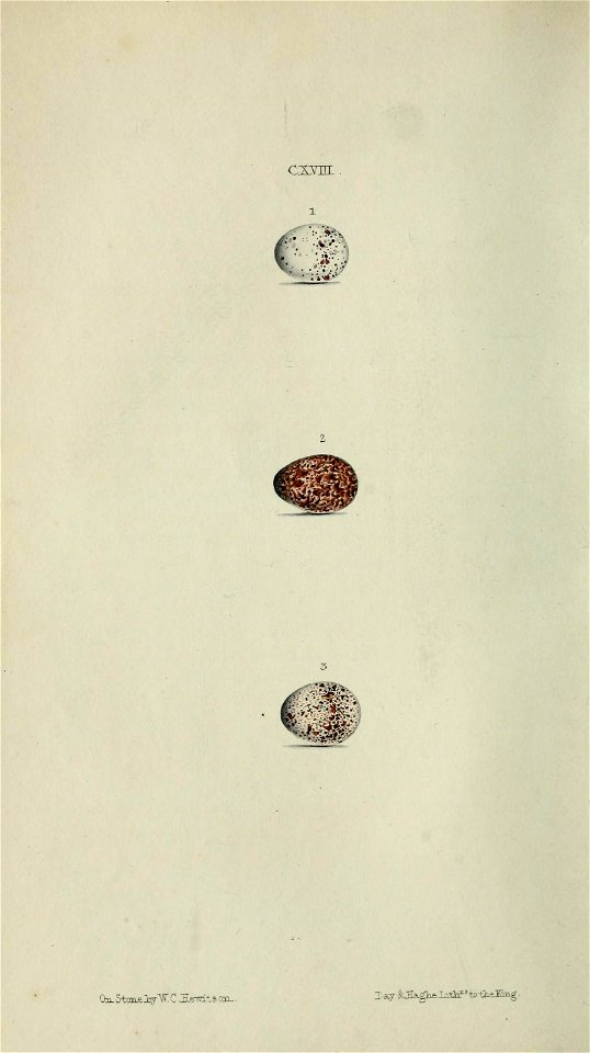 n171_w1150