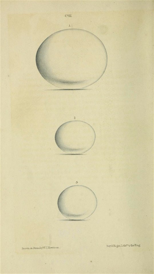 n107_w1150