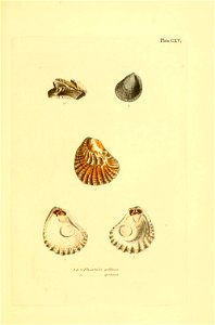 n406_w1150