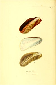 n353_w1150