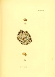 n268_w1150