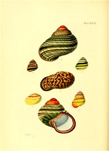 n153_w1150