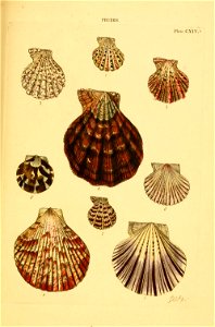 n402_w1150